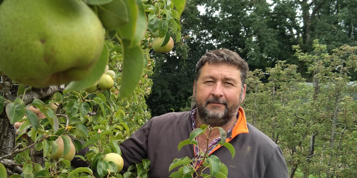 Se Garder Une Poire Pour La Soif De Jeunesse Phyltres 